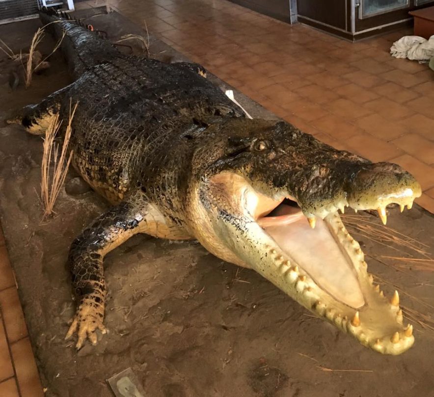 Home Adelaide River Inn Tourist Park